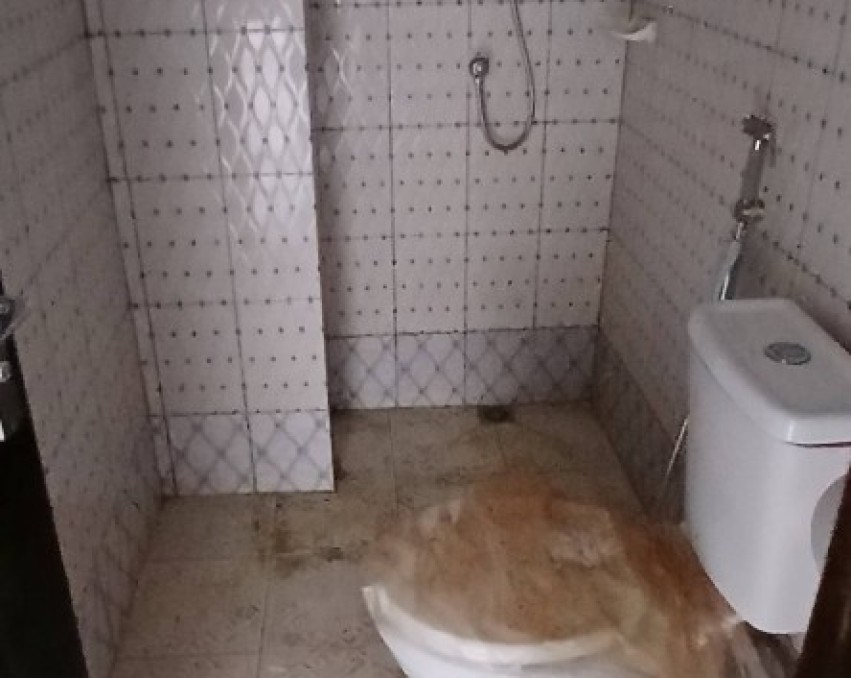 2 CHAMBRES SALON A LOUER ABIDJAN Abobo dokui cocoteraie